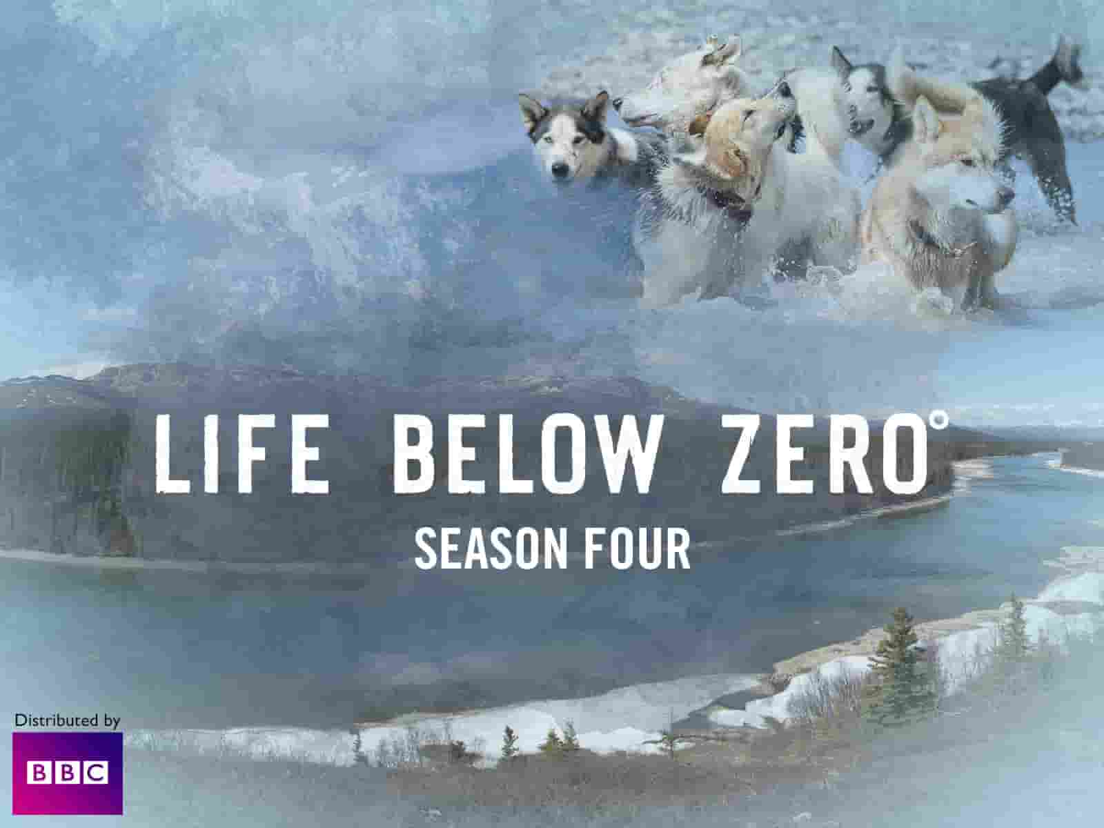 bbc纪录片/冰原生存挑战/荒野求生纪录片《零度以下的生活 Life Below Zero》第17到18季全19集 英语中字 1080p高清网盘