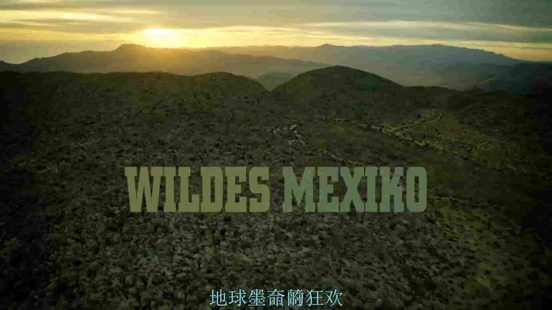 BBC纪录片《墨西哥:地球上的生命狂欢 Mexico-Earth’s Festival of Life》全3集 英语内嵌中字 1080P高清网盘