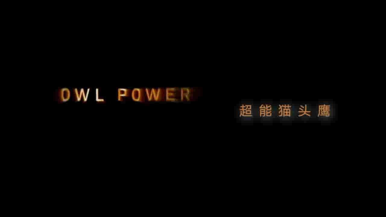 BBC纪录片《超能猫头鹰 Super Powered Owls》全1集 英语内嵌中英双字/英语英字 1080P高清网盘