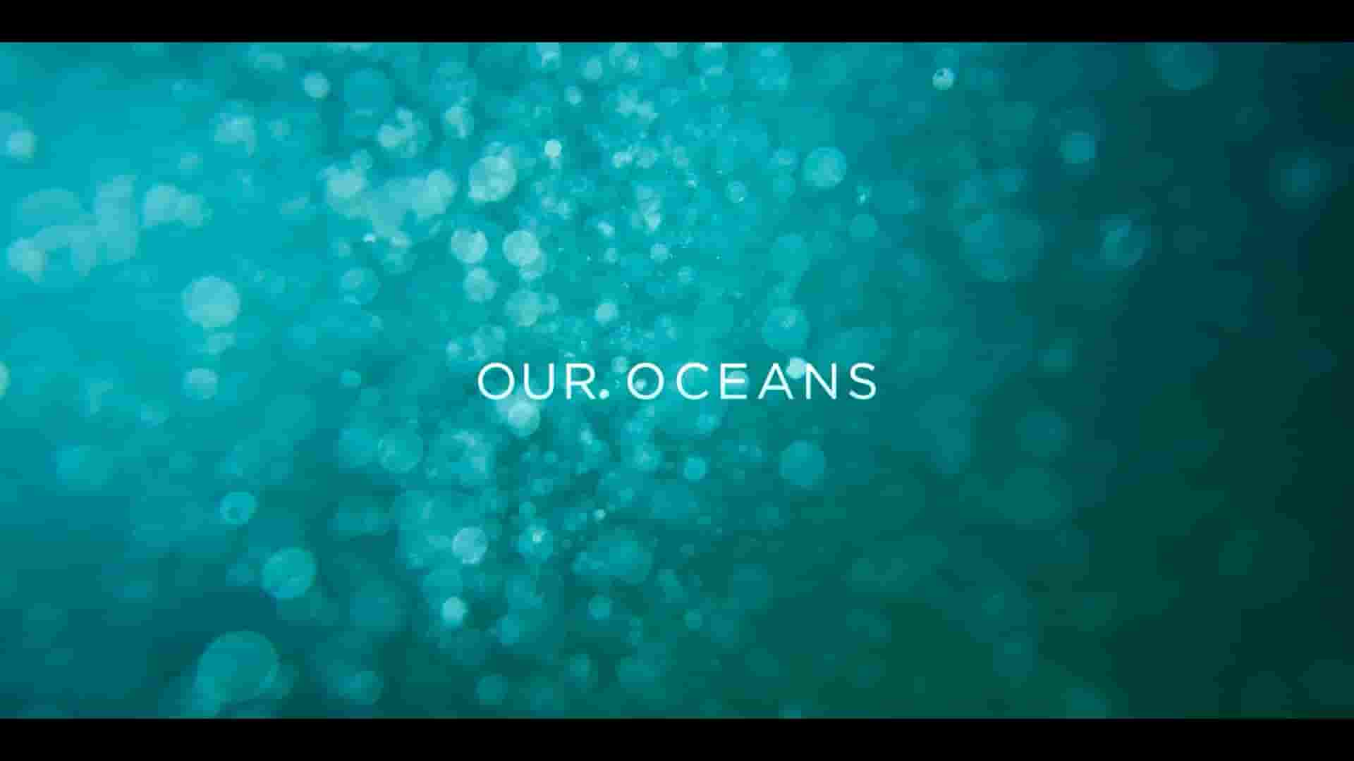 Netflix纪录片《我们的海洋 Our Oceans 2024》第1季全5集 英语多国字幕 1080P高清网盘