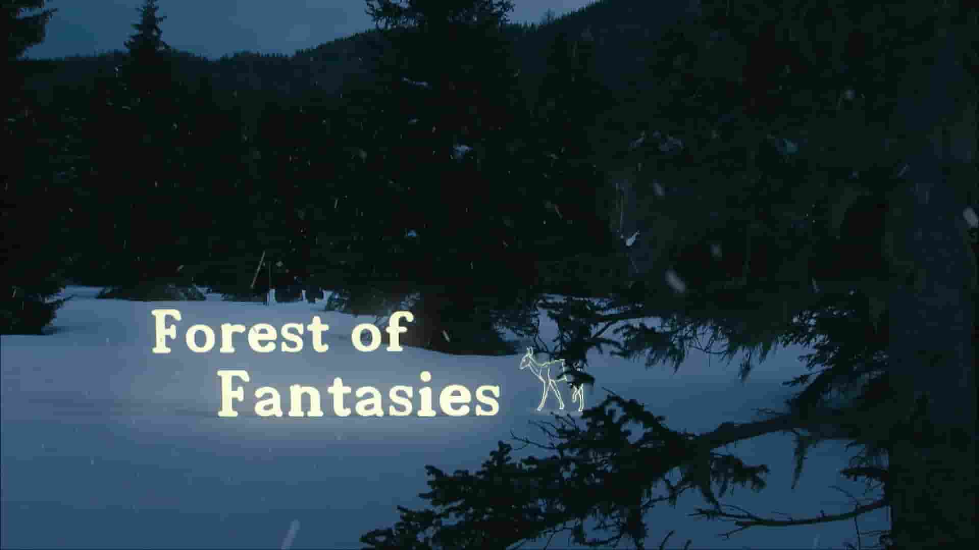 奥地利纪录片《梦幻森林 Forest of Fantasies 2018》全1集 英语中英双字 1080P高清网盘