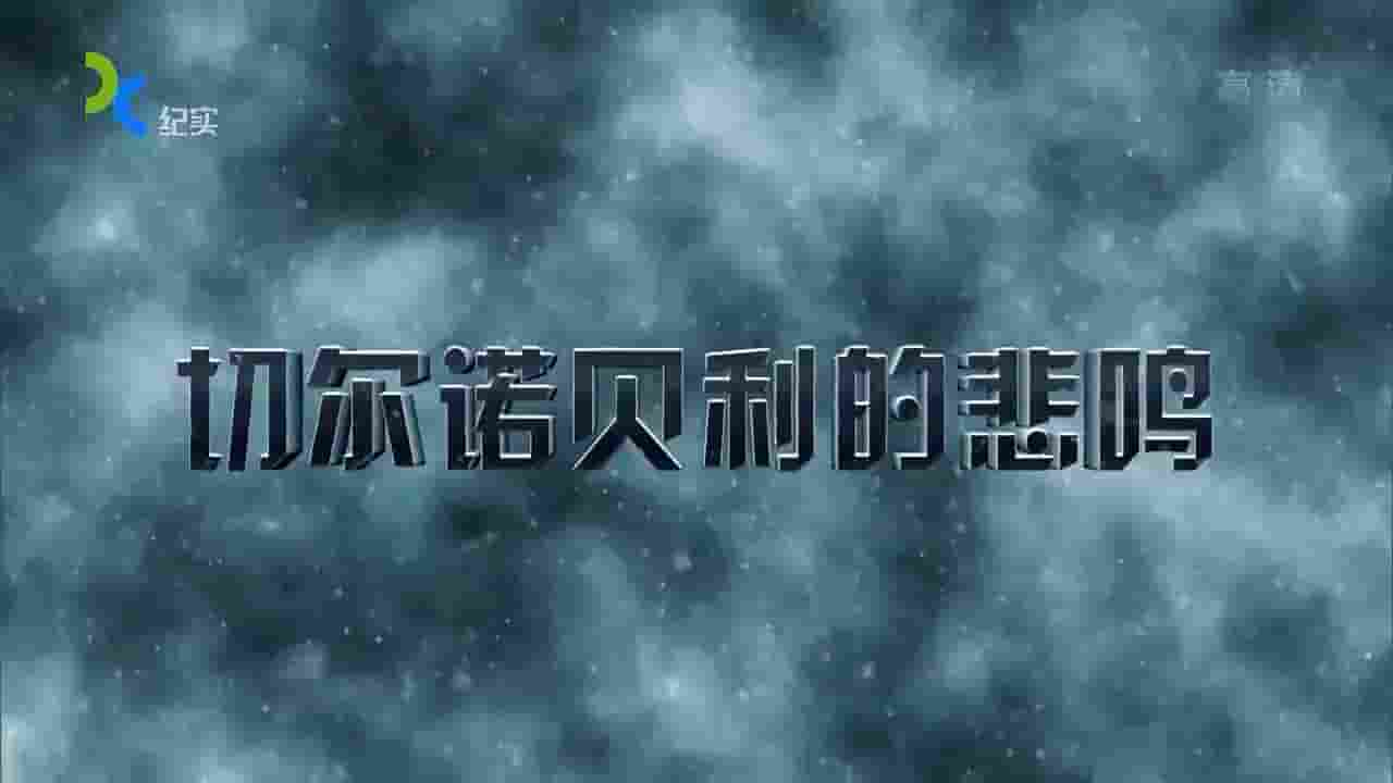 上海纪实档案《切尔诺贝利的悲鸣》全2集 国语中字 720P高清网盘