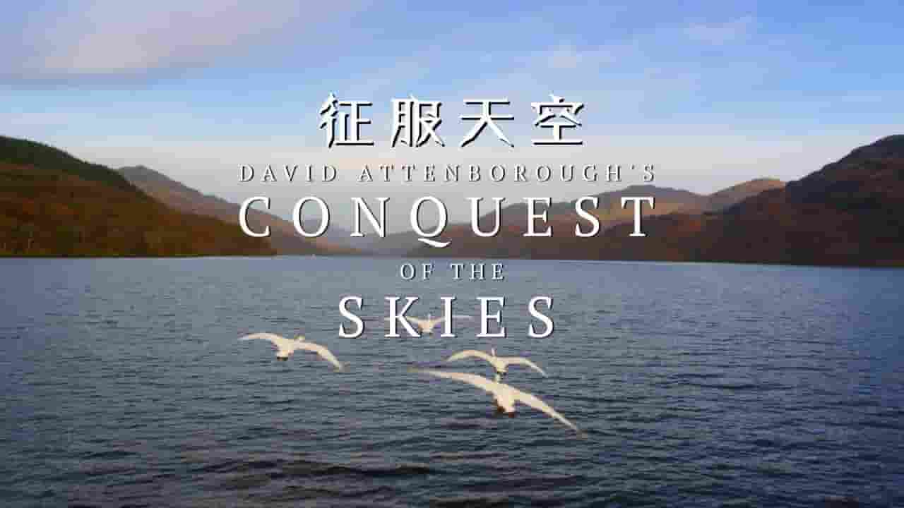 BBC纪录片《征服天空/大卫·爱登堡之翔服天空 David Attenborough’s Conquest of the Skies》全3集 英语中英双字 720P高清网盘