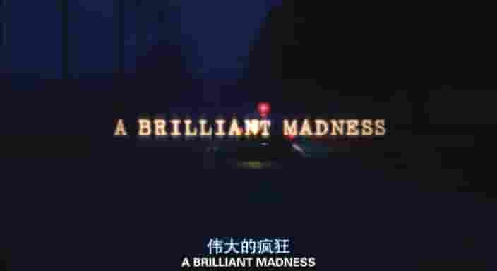 PBS纪录片/美国印象系列《约翰·纳什：伟大的疯狂 A Brilliant Madness 2002》全1集 英语内嵌中英双字 标清网盘