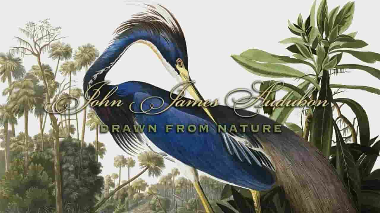 PBS纪录片《博物学家奥杜邦 John James Audubon : Drawn From Nature 2007》全1集 英语无字 720P高清网盘