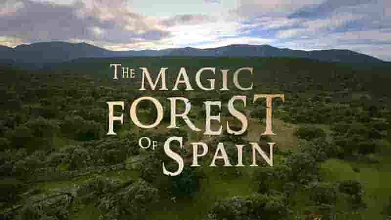 西班牙纪录片《西班牙的神奇森林 The Magic Forest of Spain 2019》全1集 英语中英双字 1080P高清网盘