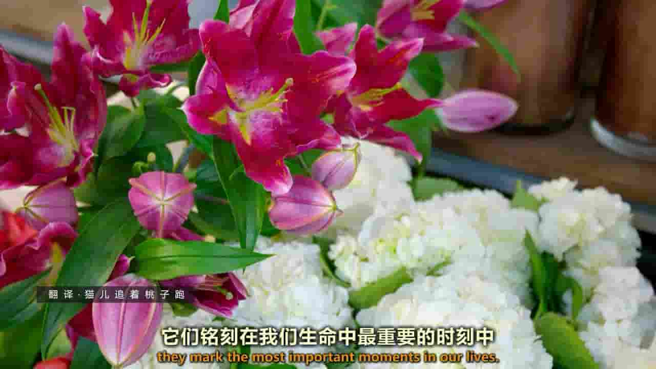 BBC纪录片《世界上最大的鲜花市场 The World’s Biggest Flower Market 2016》全1集 英语内嵌中英双字 720P高清网盘