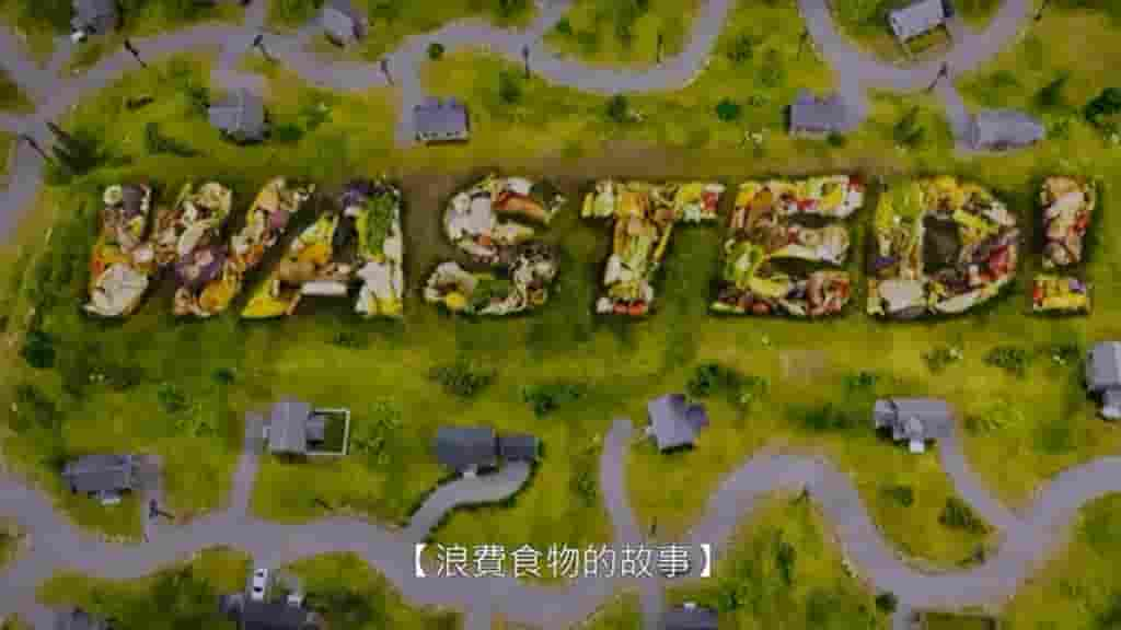 美国纪录片《食物浪费的故事 Wasted! The Story of Food Waste 2017》全1集 英语中字 720P高清网盘