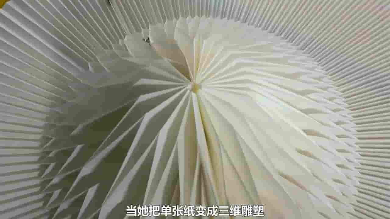 PBS纪录片《折纸革命 The Origami Revolution 2017》全1集 英语中字 720P高清网盘