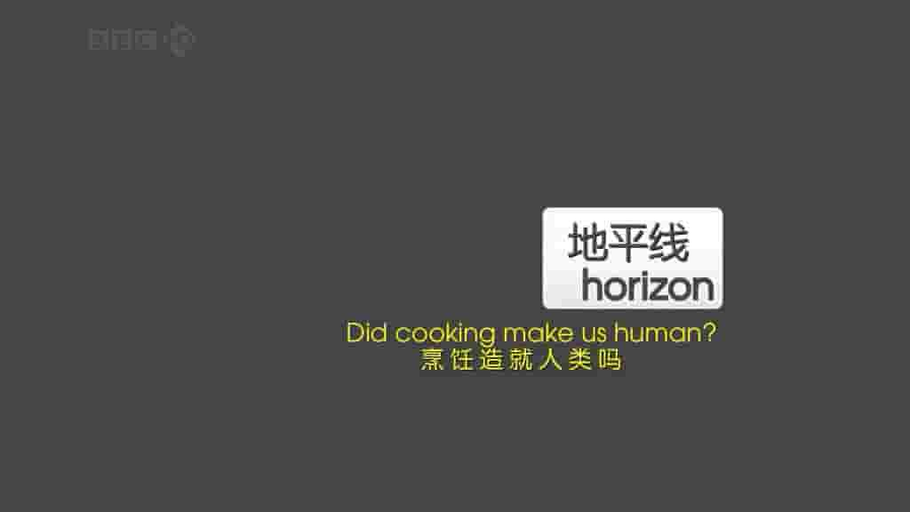 BBC纪录片地平线系列《烹饪造就人类吗 Did Cooking Make Us Human 2010》全1集 英语内嵌中英双字幕 标清网盘