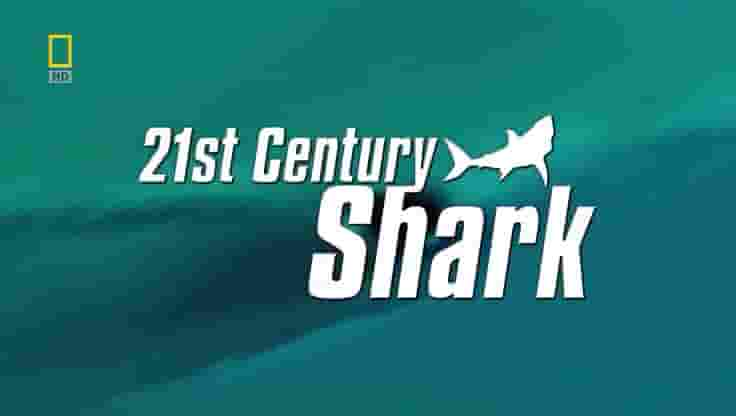 国家地理《21世纪鲨鱼 21st Century Shark 2009》全1集 英语外挂中字 标清网盘