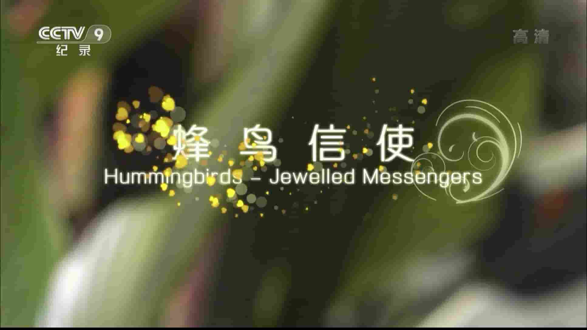 央视纪录片《蜂鸟信使 Hummingbirds Jewelled Messengers》全1集 国语中字 1080P高清网盘