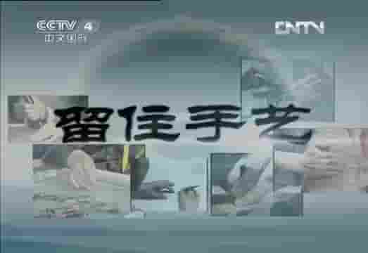 央视纪录片《留住手艺 2012》全50集 国语内嵌中字 标清网盘