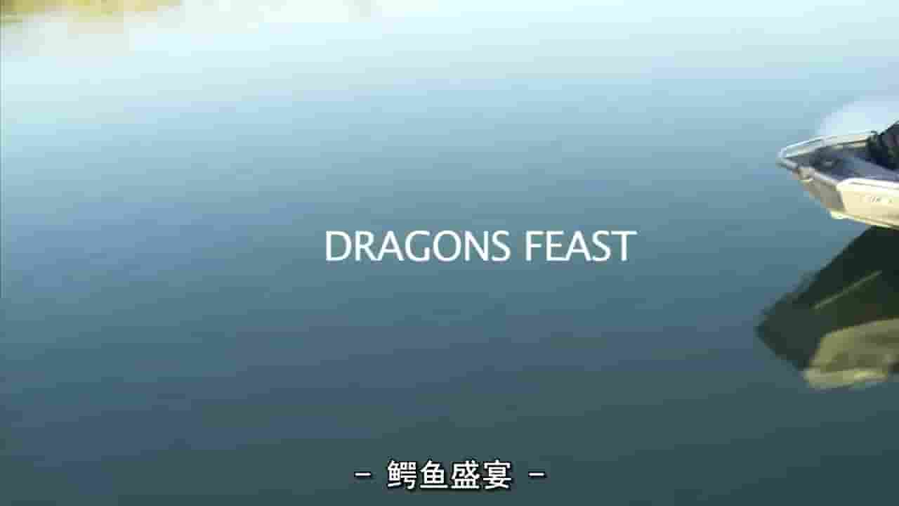 国家地理《鳄鱼盛宴 Dragon Feast》全1集 英语中字 720P高清网盘