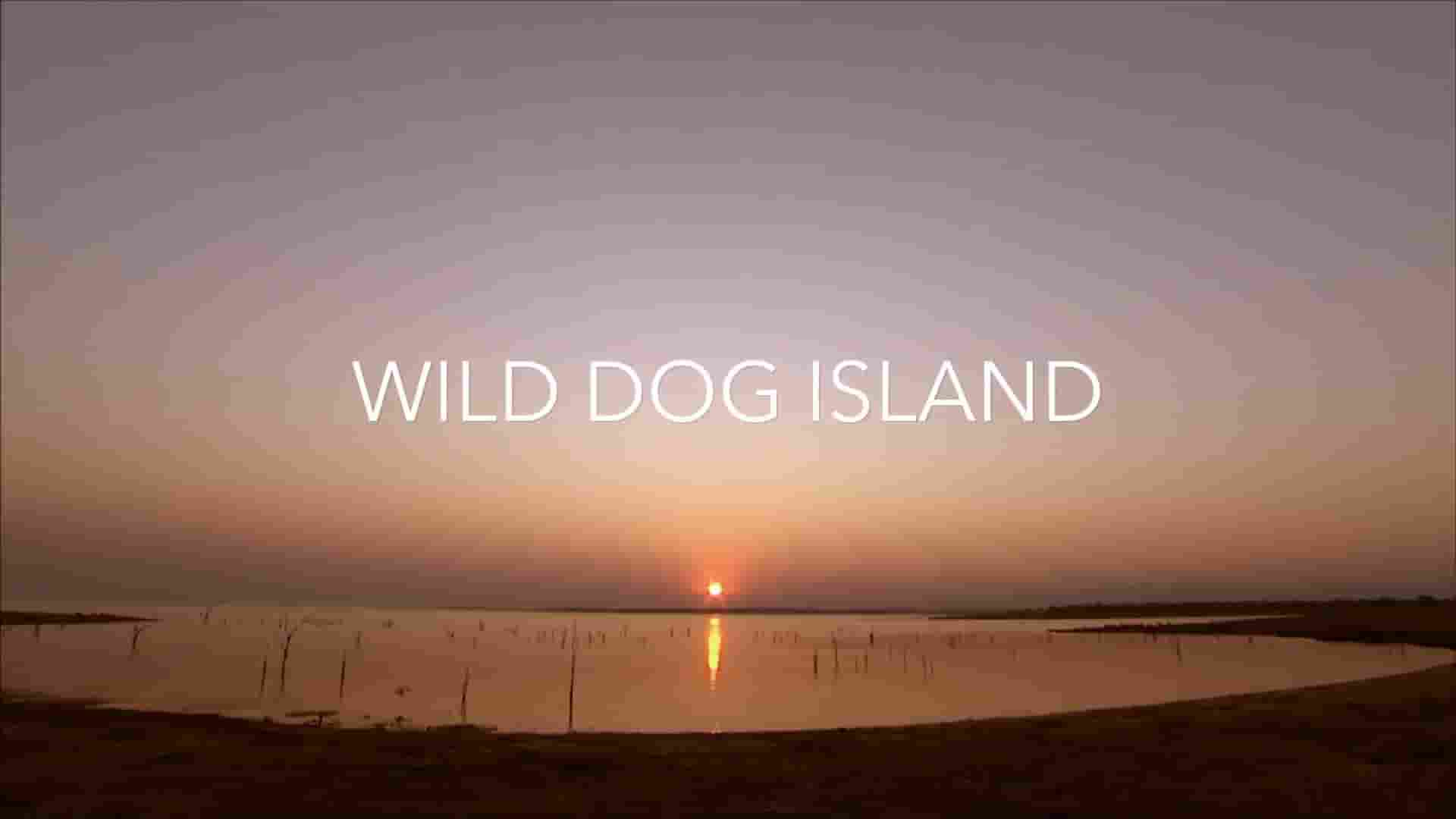 PBS纪录片《野狗岛 Wild Dog Island 2009》全1集 英语中英双字 1080P高清网盘