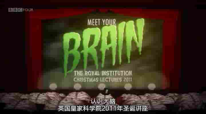 BBC纪录片《认识大脑 Meet Your Brain》全3集 英语内嵌中英双字 标清网盘