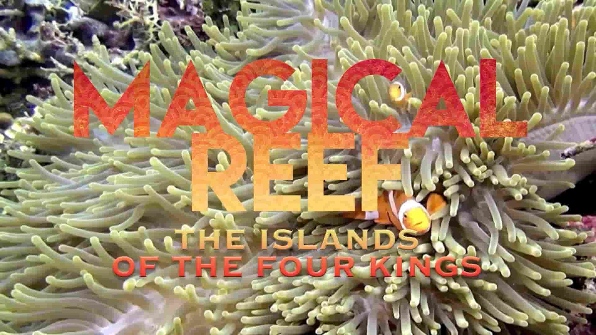 德国纪录片《神奇的礁石：四王之岛 Magical Reef: The Islands of the Four Kings 2020》全1集 英语中英双字 1080P高清网盘