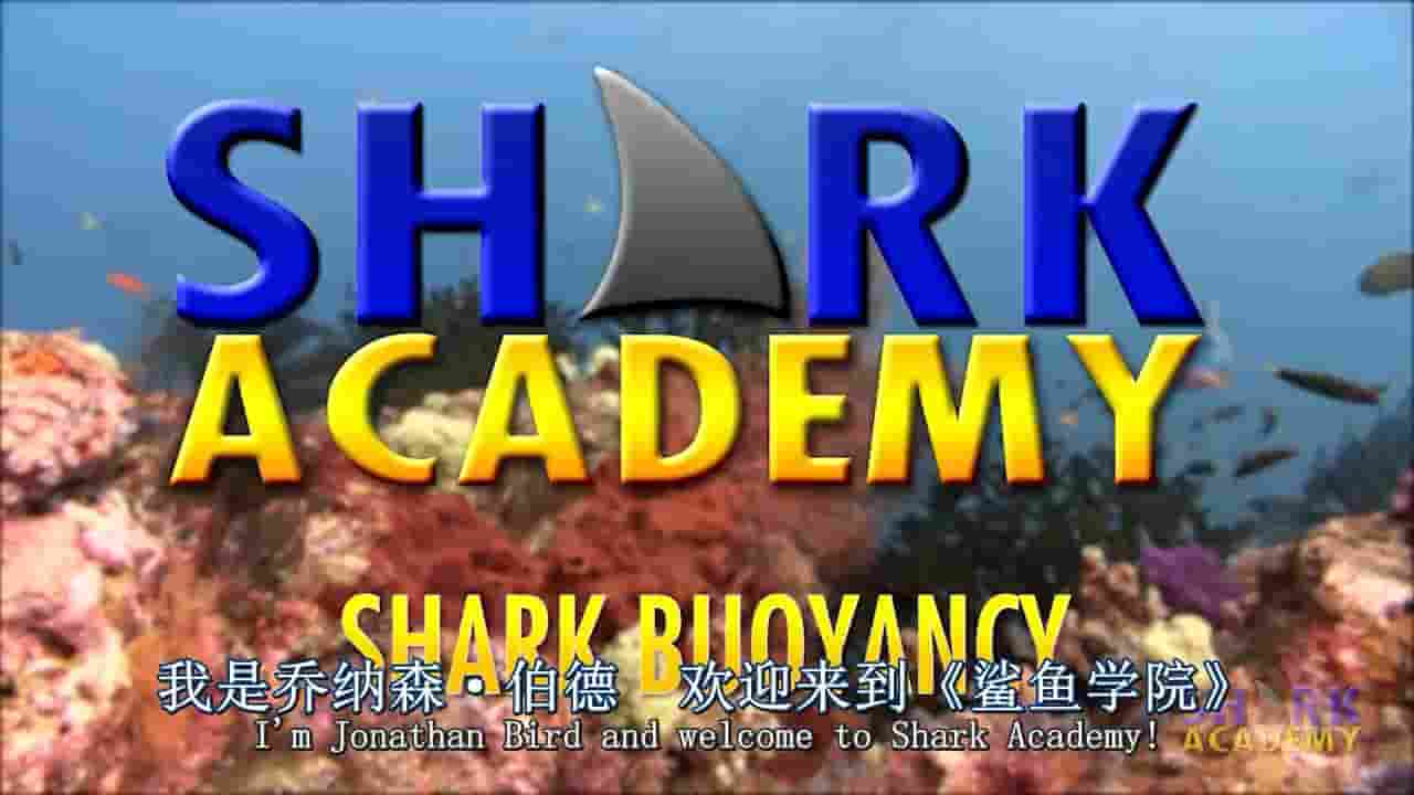 鲨鱼纪录片《鲨鱼学院 Shark Academy 2015》全7集 英语内嵌中英双字 720P高清网盘