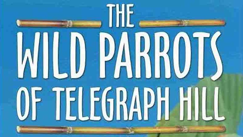 美国 纪录片《野鹦鹉 The Wild Parrots of Telegraph Hill 2003》全1集 英语无字 标清网盘