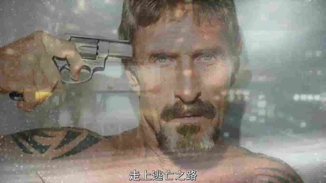 NetFlix纪录片《外国佬：约翰·迈克菲的危险生活 Gringo: The Dangerous Life of John McAfee 2016》全1集 英语内嵌中字 1080P高清网盘