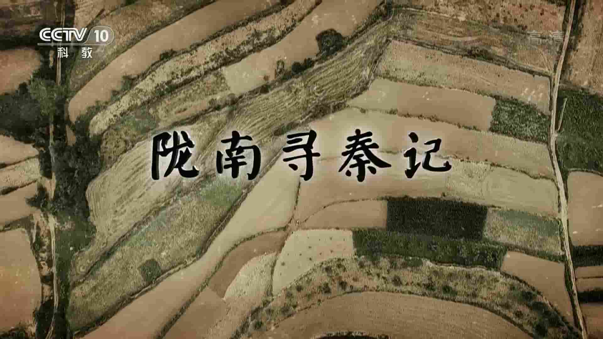 央视考古纪录片《陇南寻秦记 2020》全1集 国语中字 1080P高清网盘