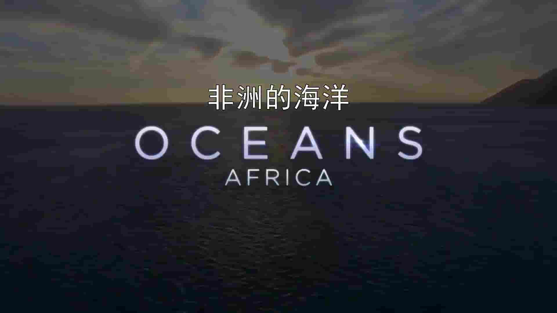 ZDF纪录片《非洲的海洋 Oceans Africa 2020》全3集 英语内嵌中英字幕 1080P高清网盘