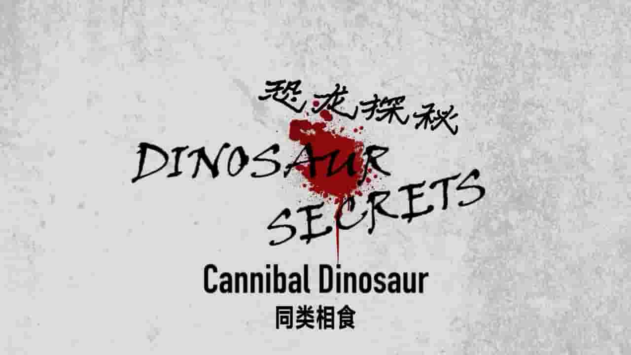 历史频道《恐龙探秘 Dinosaur Secrets Revealed 2002》全12集 英语内嵌中英双字 720P高清网盘