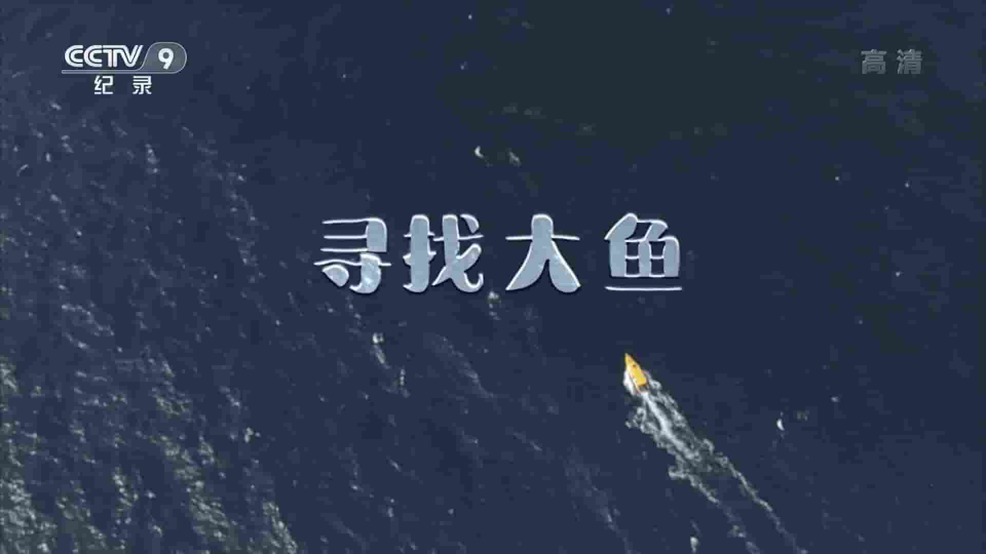 央视纪录片《应许天堂/寻找大鱼 Given 2022》全1集 国语中字 1080i高清网盘