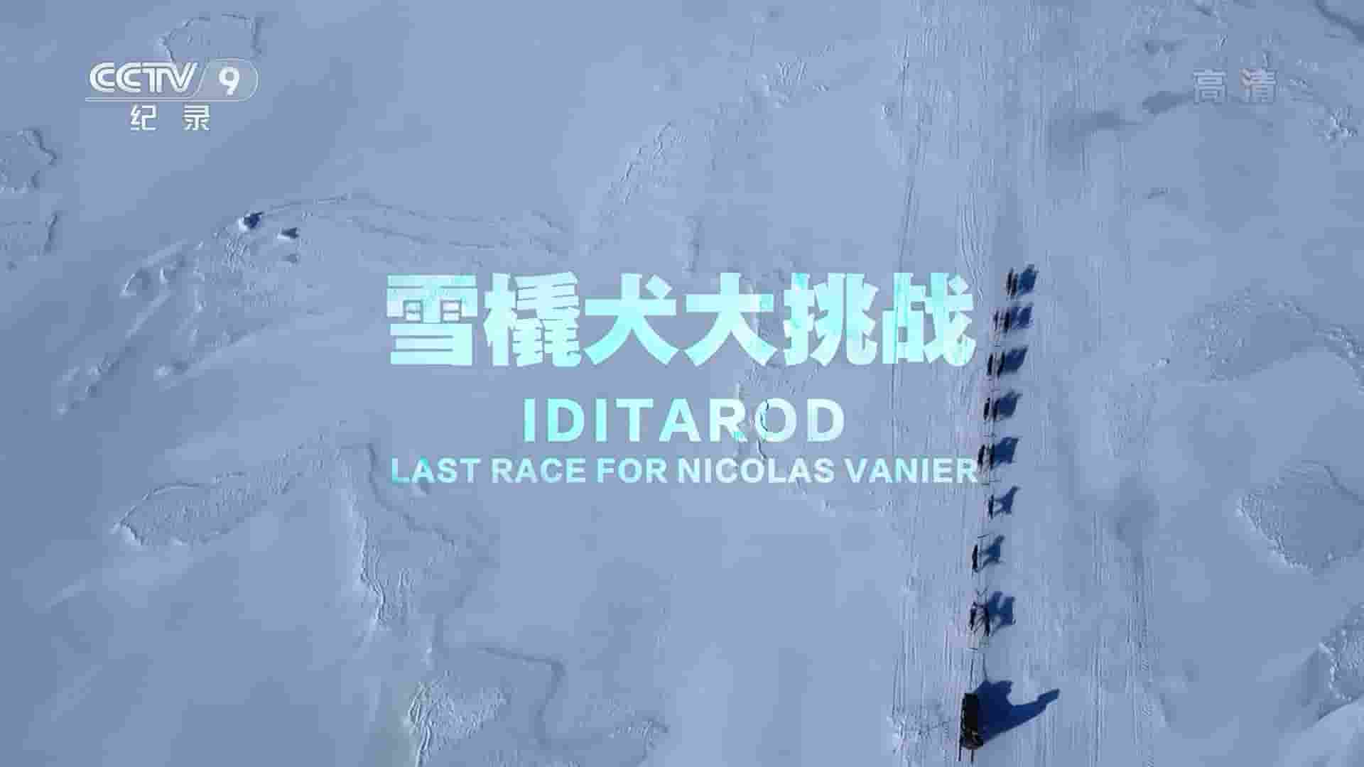 央视纪录片《雪橇犬大挑战/灵犬与我：极地生存 Iditarod: The Last Great Race on Earth 2017》全1集 国语中字 1080i高清网盘