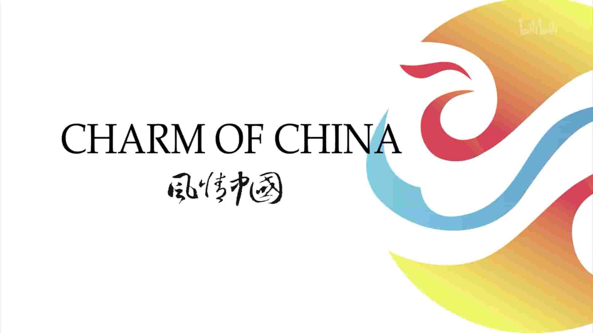 国产纪录片《风情中国 Charm of China 2019》全20集 国语中字 1080P高清网盘