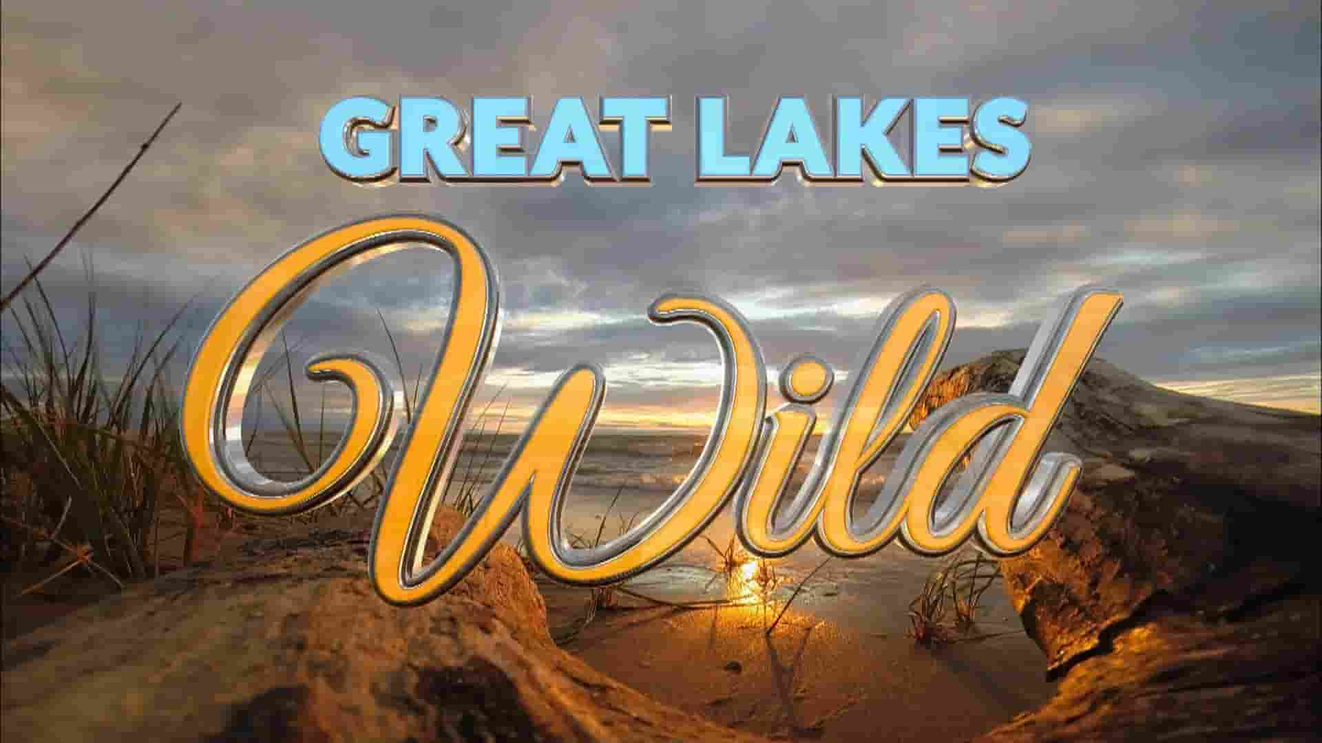 加拿大纪录片《野性大湖 Great Lakes Wild 2015》全8集 英语中英双字 1080P高清网盘