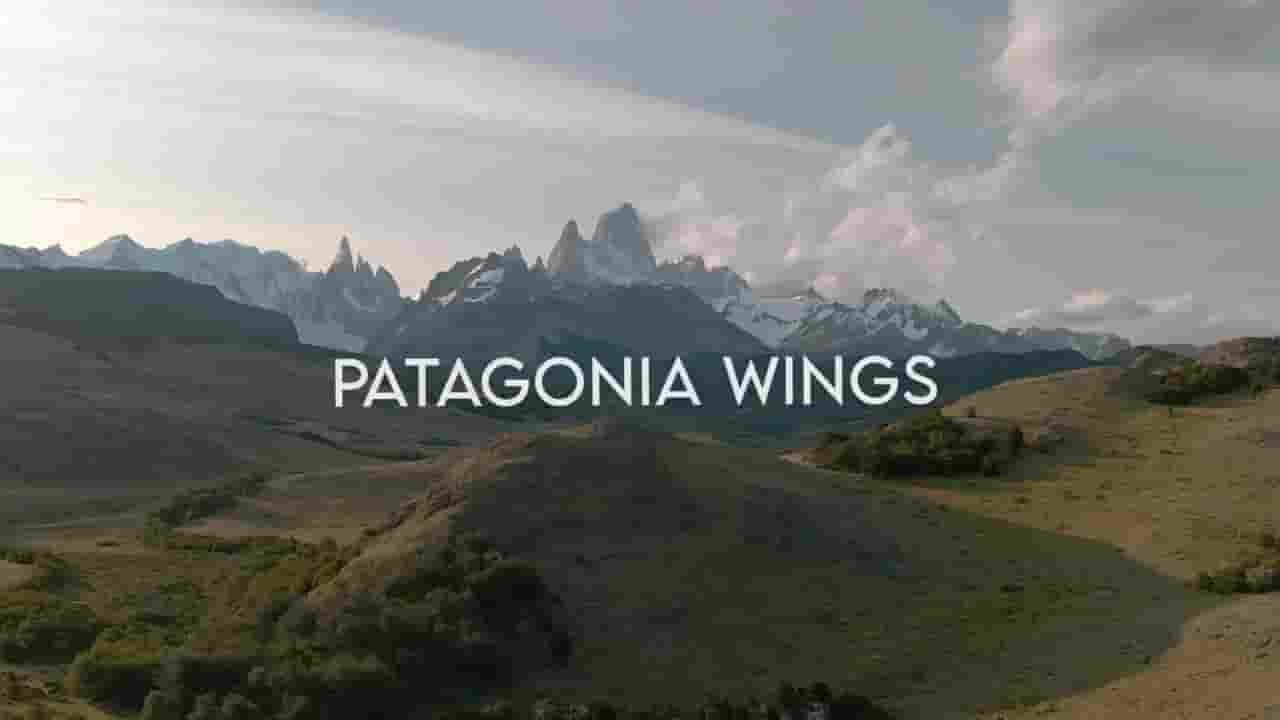 国家地理《巴塔哥尼亚的翅膀 Patagonia Wings 2020》全1集 多国语言多国字幕 720P高清网盘