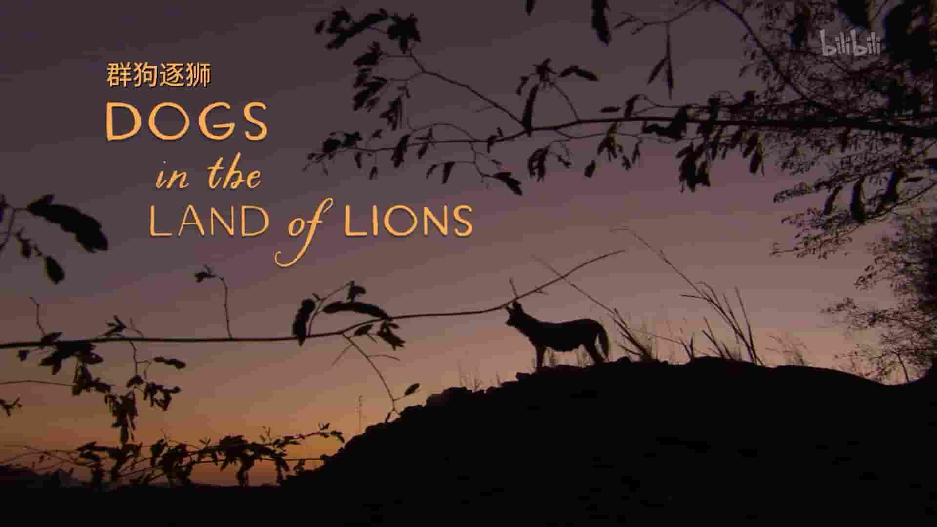 PBS纪录片《群狗逐狮 Dogs in the Land of Lions 2018》全1集 英语中字 1080P高清网盘