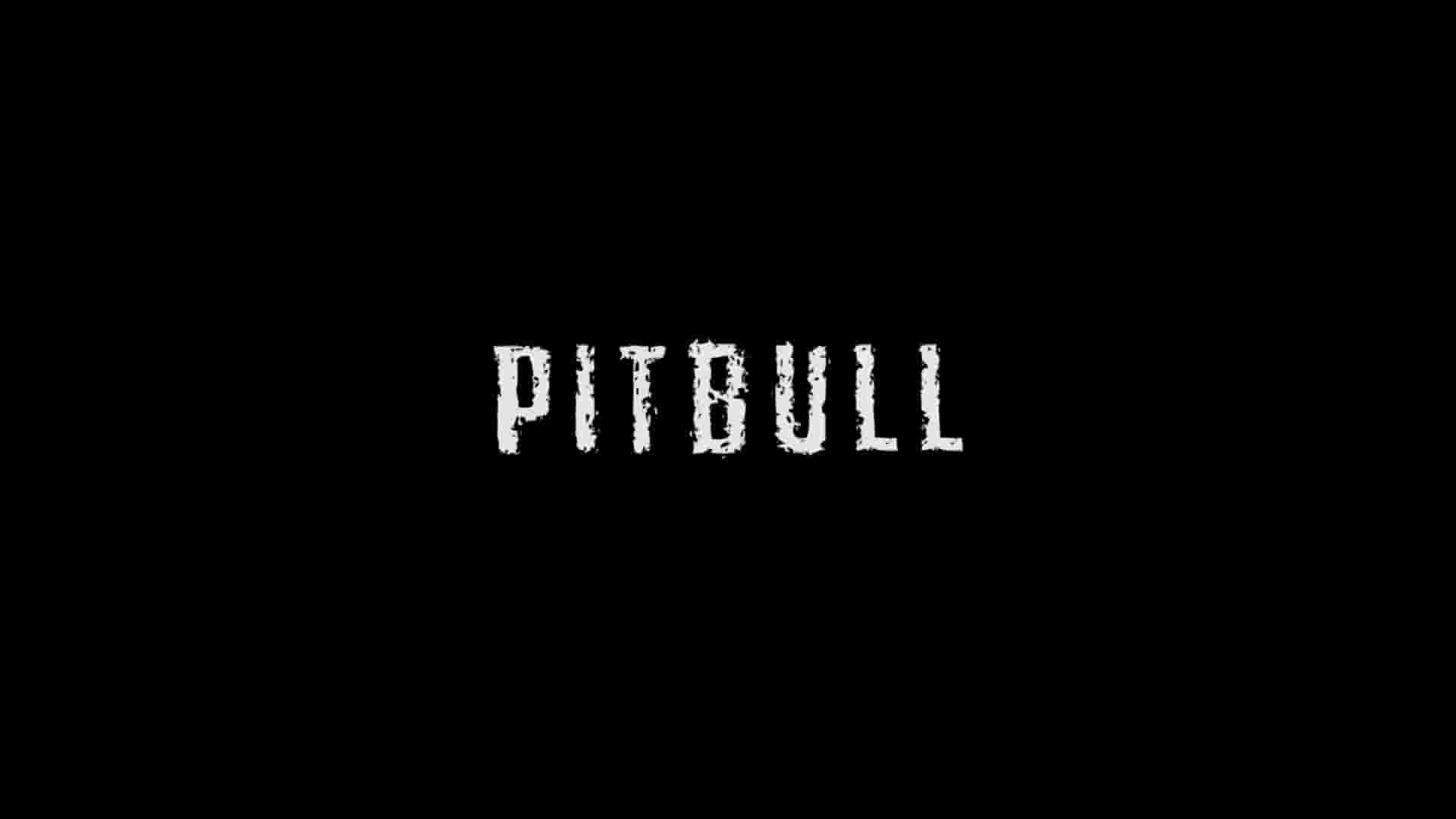 爱尔兰纪录片《比特犬 Pitbull 2018》全1集 英语中英双字 1080P高清网盘