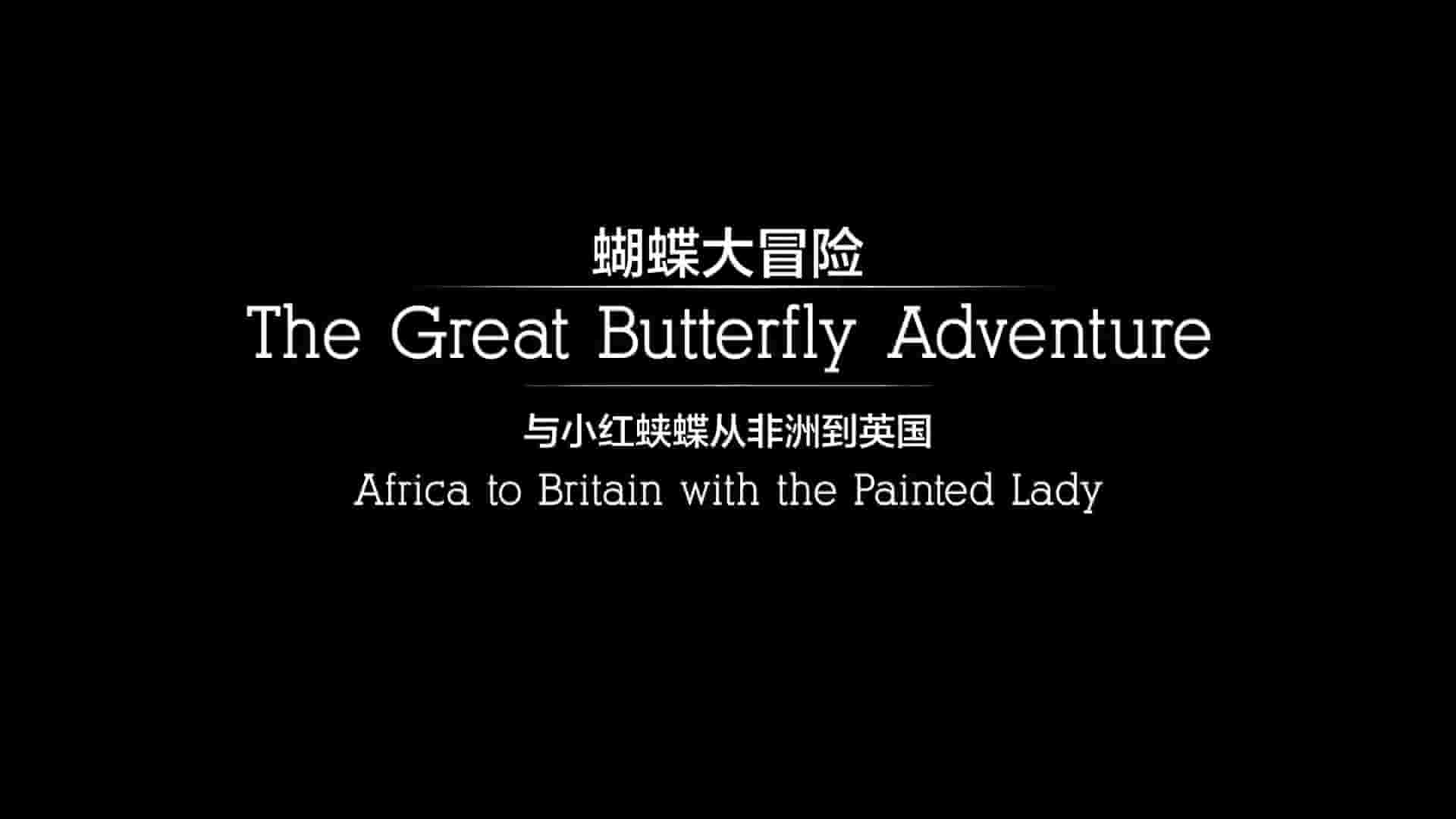 英国纪录片《蝴蝶大冒险 The Great Butterfly Adventure: Africa to Britain with the Painted Lady 2016》全1集 英语中字 1080P高清网盘