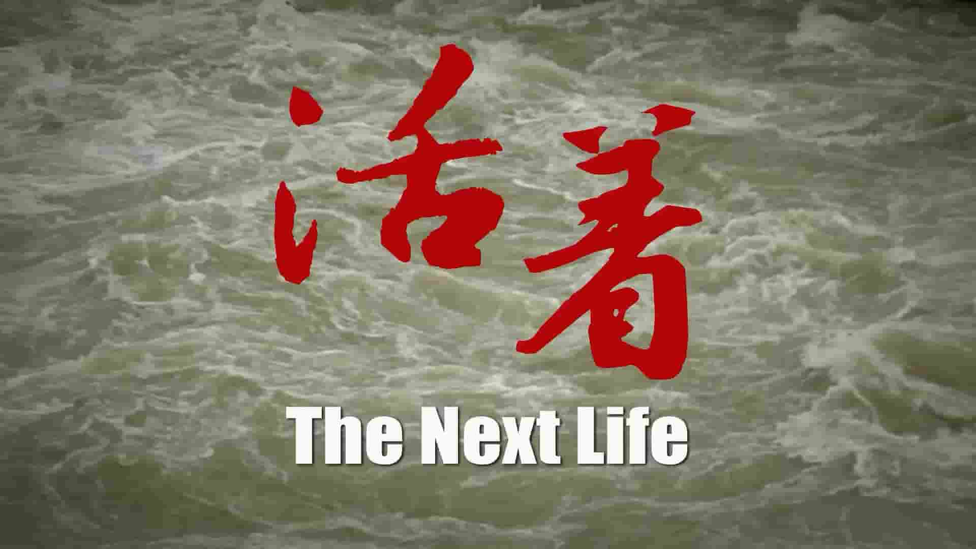 国产纪录片《活着 The Next Life 2011》全1集 国语中字 1080P高清网盘