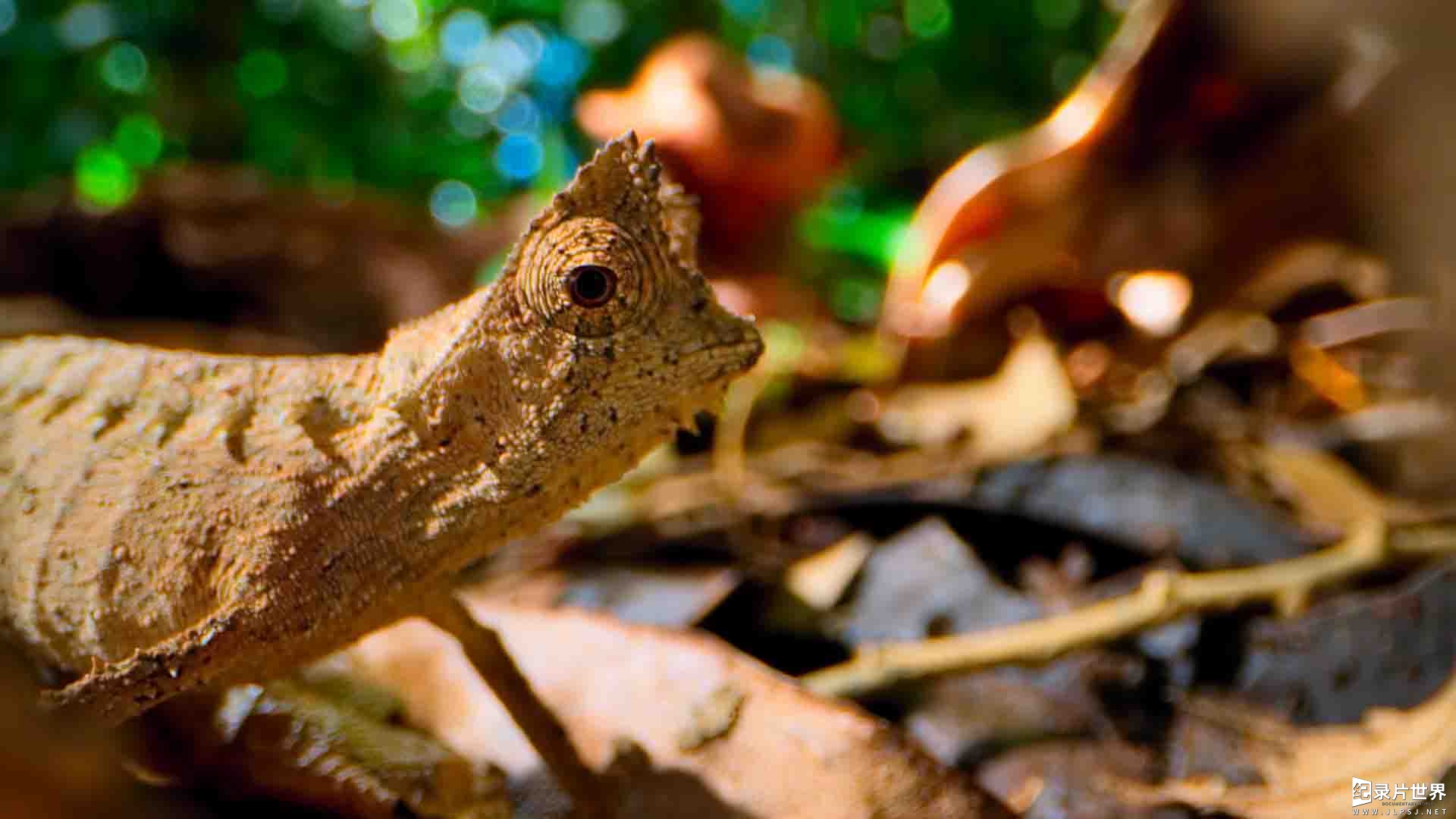 小小世界 第一季 Tiny World Season 1 09