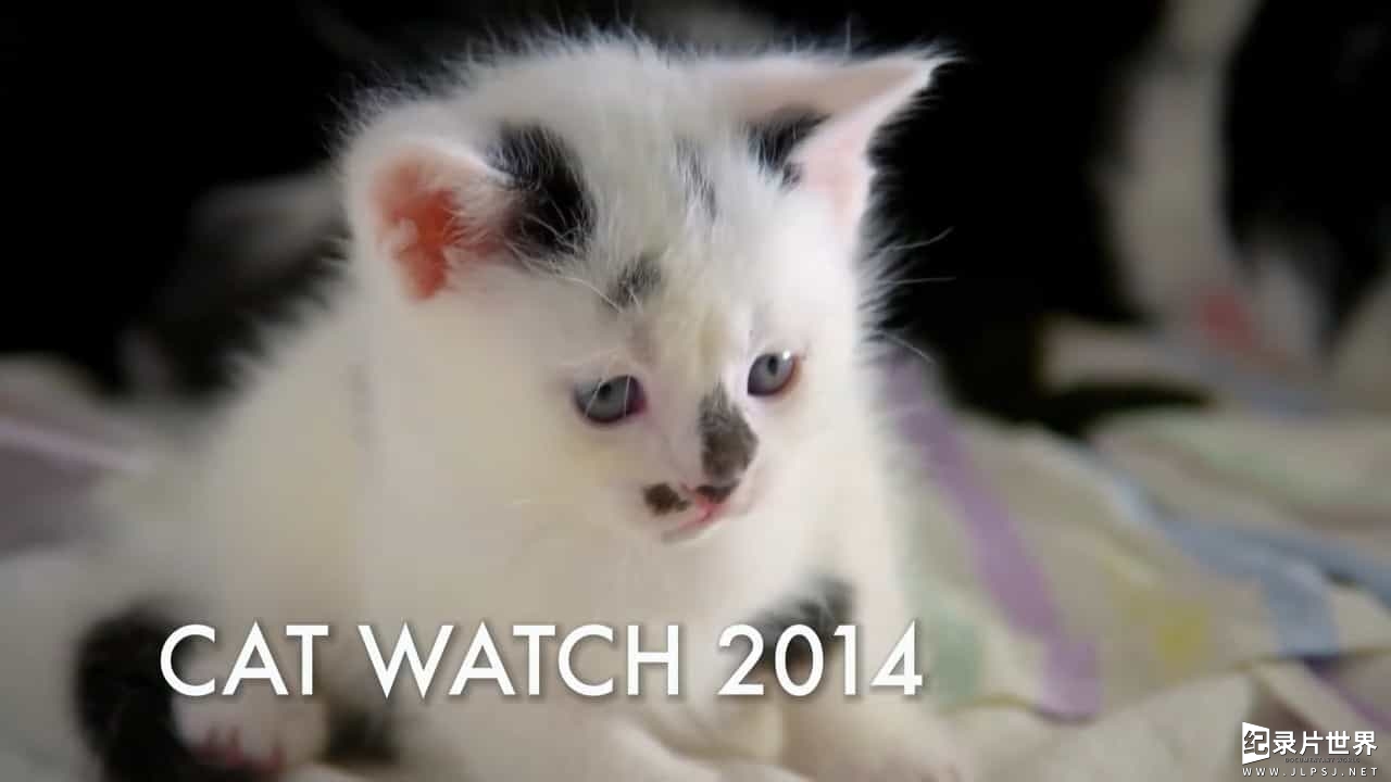 BBC纪录片《猫咪观察 Cat Watch 2014》全3集