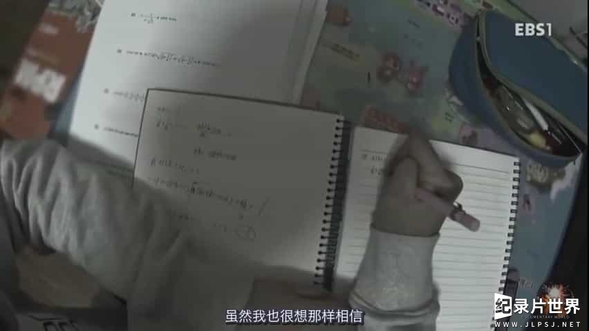 EBS纪录片/中小学教育《学习的背叛 공부의 배신 2016》全3集 