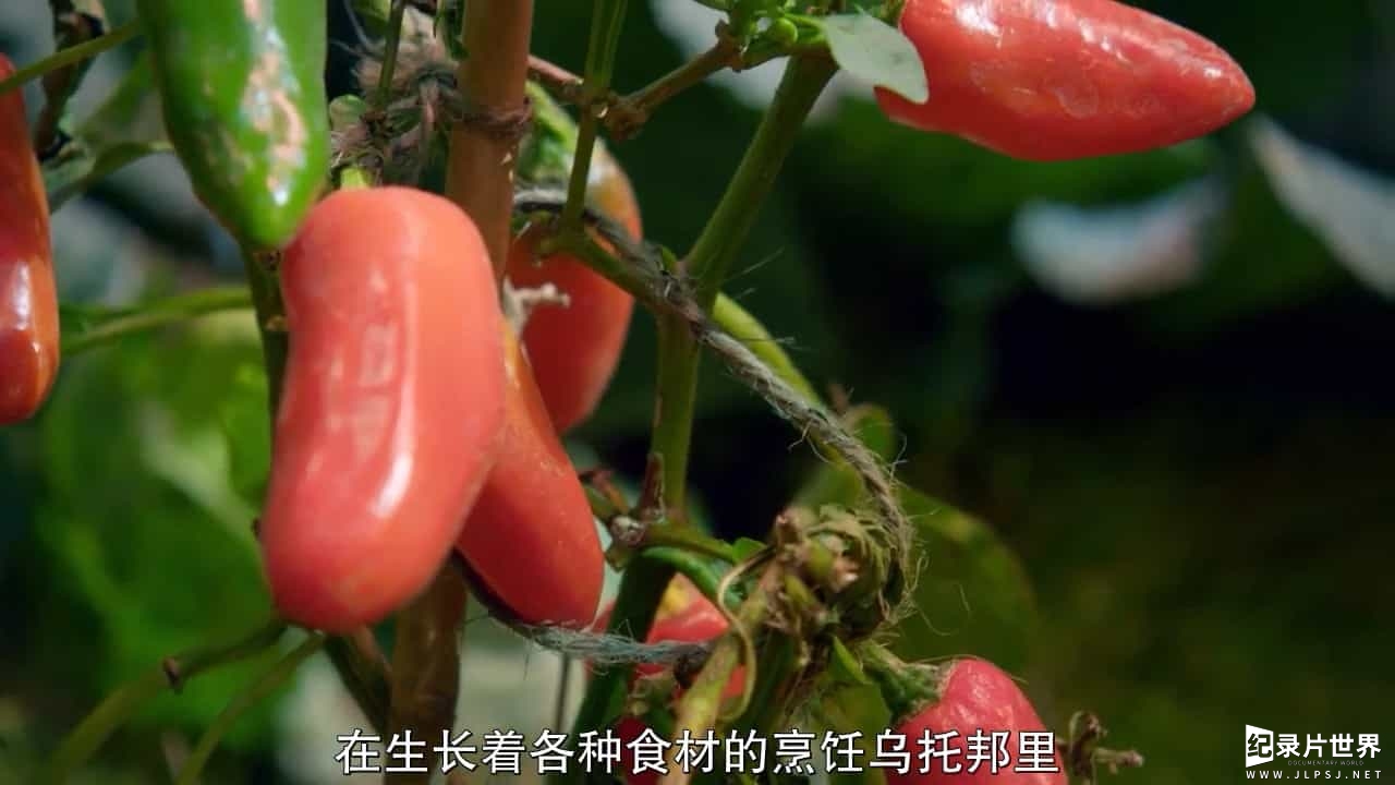 美食纪录片/世界美食系列《疯狂烹饪赛 Crazy Delicious 2020》英语中字