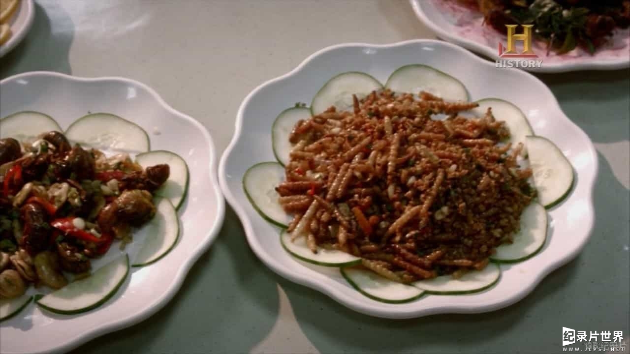 历史频道/世界美食系列《未来世界的粮食：昆虫 Future Food: Insects 2013》英语中字