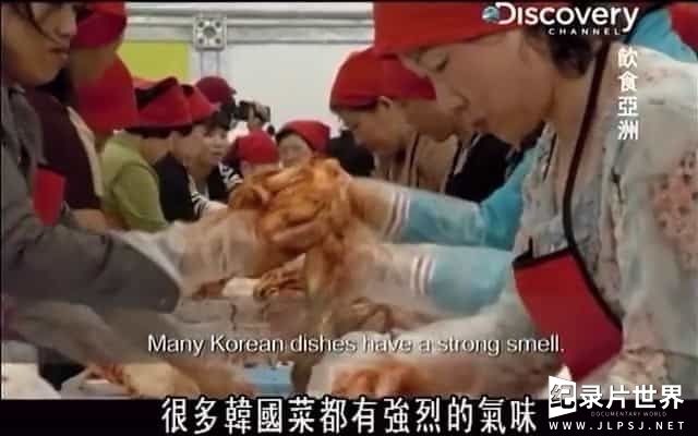 探索频道/世界美食系列《饮食亚洲 Culinary Asia 2009》英语中字