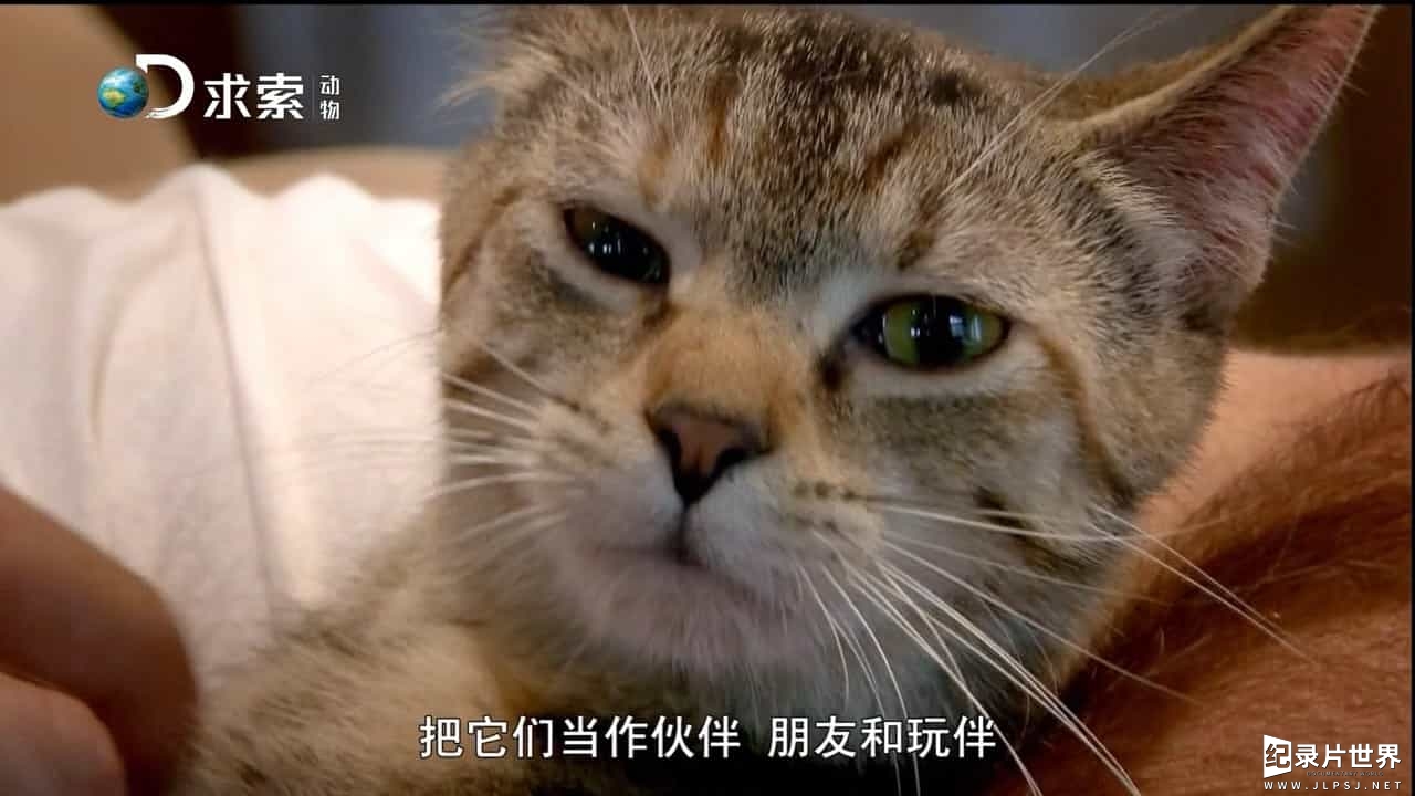 探索频道/萌宠系列《宠物妙翻天 Preposterous Pets》全6集 