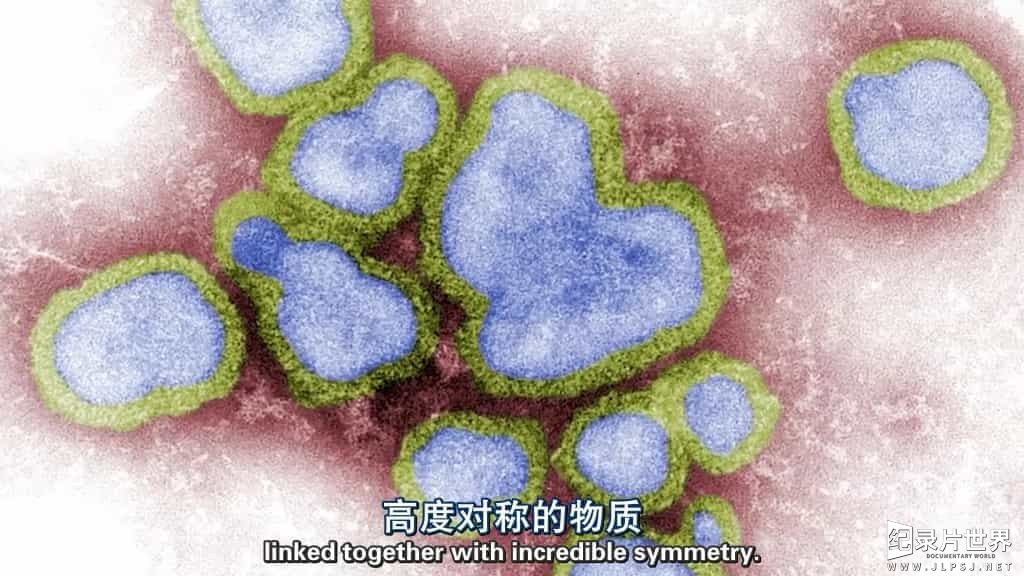 BBC纪录片/地平线系列《病毒为何致命 Why Do Viruses Kill 2010》全1集