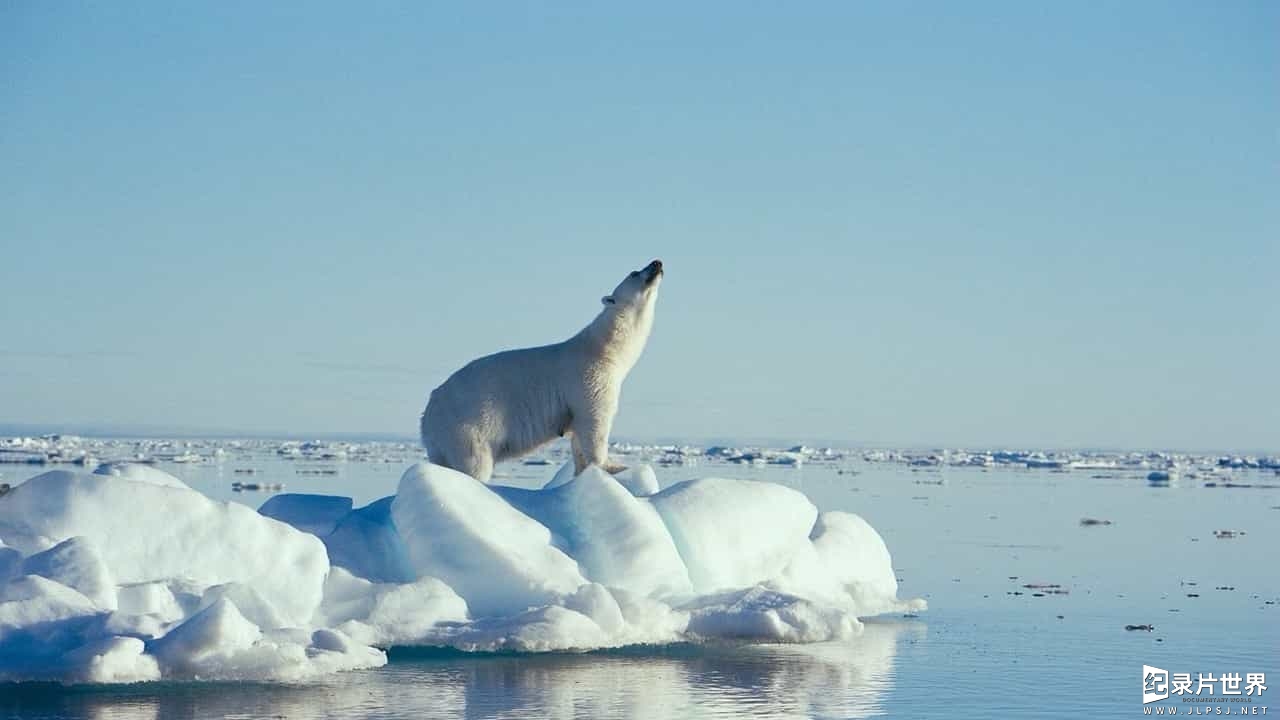 IMAX/北极纪录片《到北极去/北极熊心(港) / 到北极去/去北极/破冰之旅/北极之旅 To the Arctic》全1集