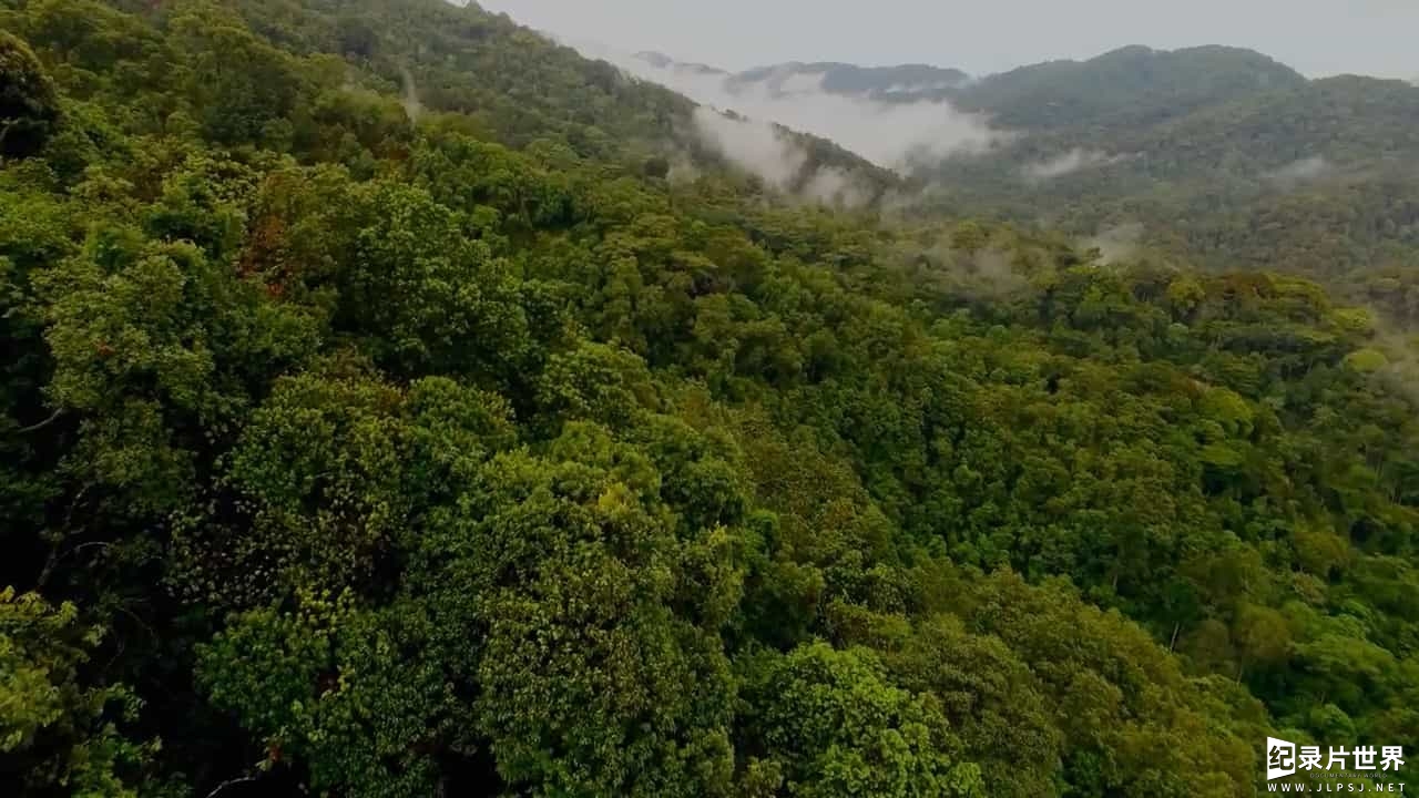 ZDF纪录片/和野生动物一起长大的人《野孩 Children Of The Wild 2017》全1集