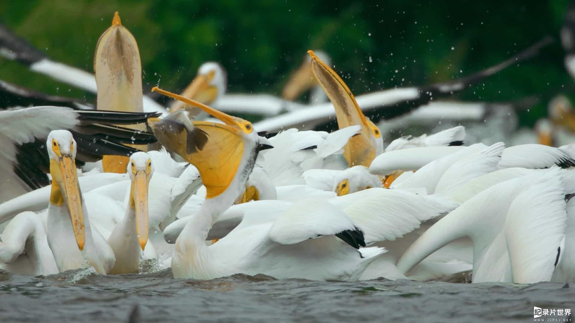 精选系列/BBC纪录片《地球壮观河流之旅 Earths Great Rivers 2022》全1-2季 共6集