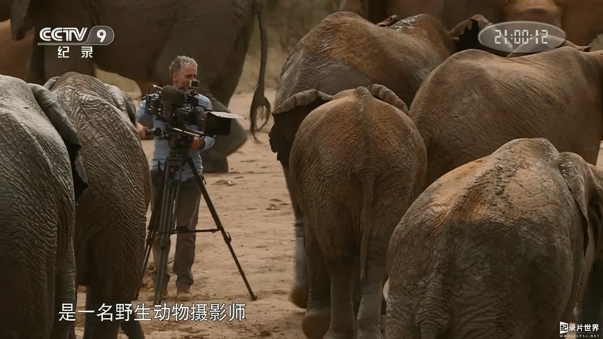 BBC纪录片《成为部落捕食者 Tribes, Predators and Me》第1-2季全6集