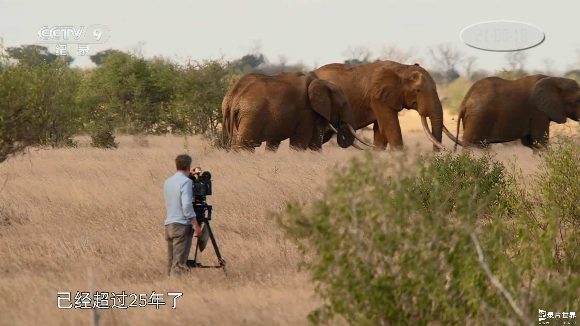 BBC纪录片《成为部落捕食者 Tribes, Predators and Me》第1-2季全6集