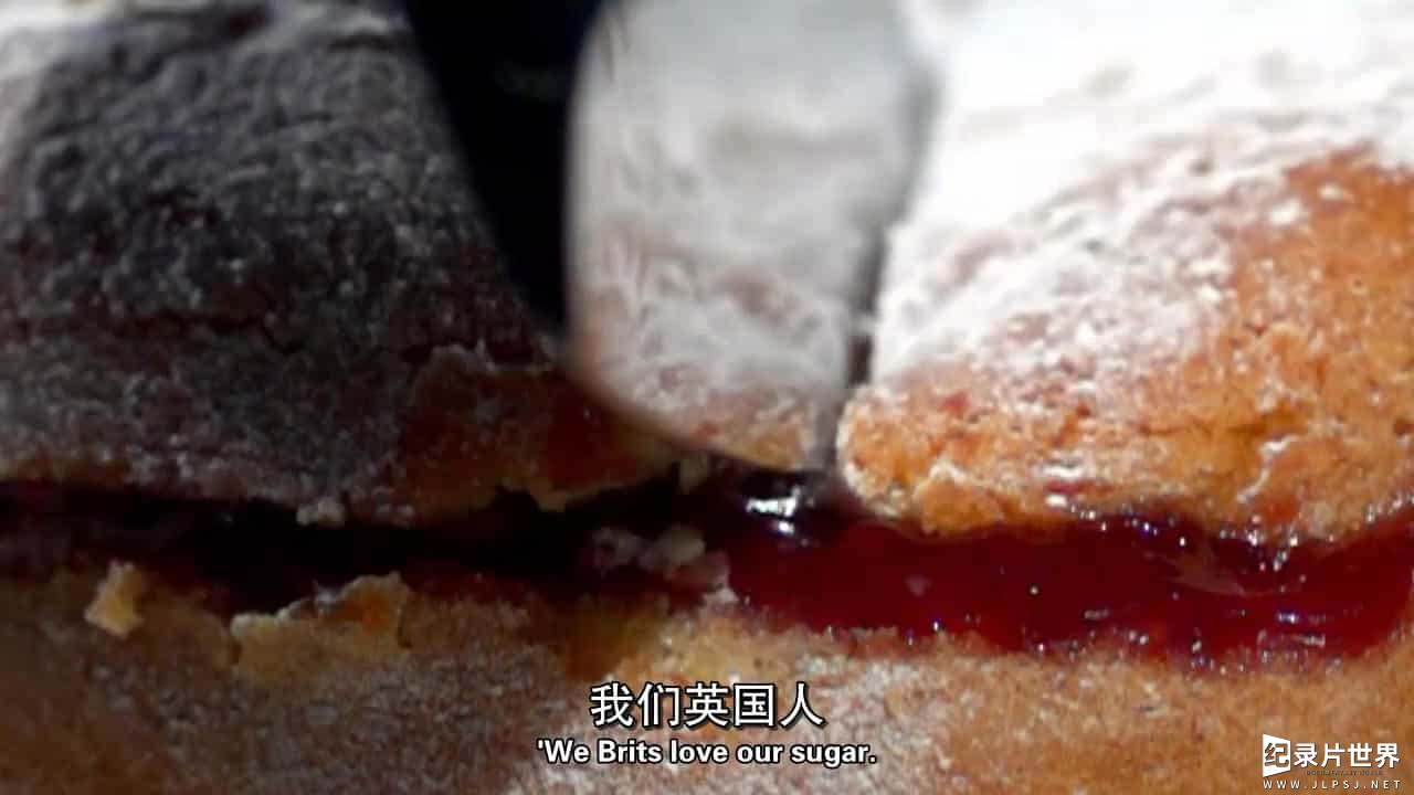 BBC纪录片/糖对人体的真正影响《糖的真相/糖之真相 The Truth About Sugar 2015》全1集